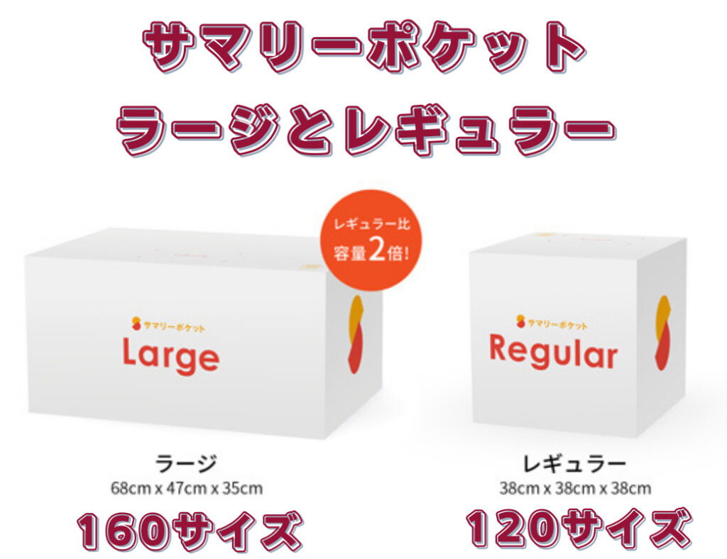 サマリーポケット　取り出し料金